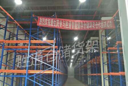 浙江愛生藥業(yè)一座貫通式貨架成功交付